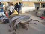 Fischmarkt in der Hauptstadt Mauretaniens - Nouakchott