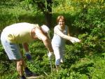 Bandi und Piri helfen nat�rlich bei der Gartenarbeit