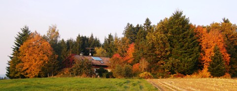 2008_1012herbst0017.jpg